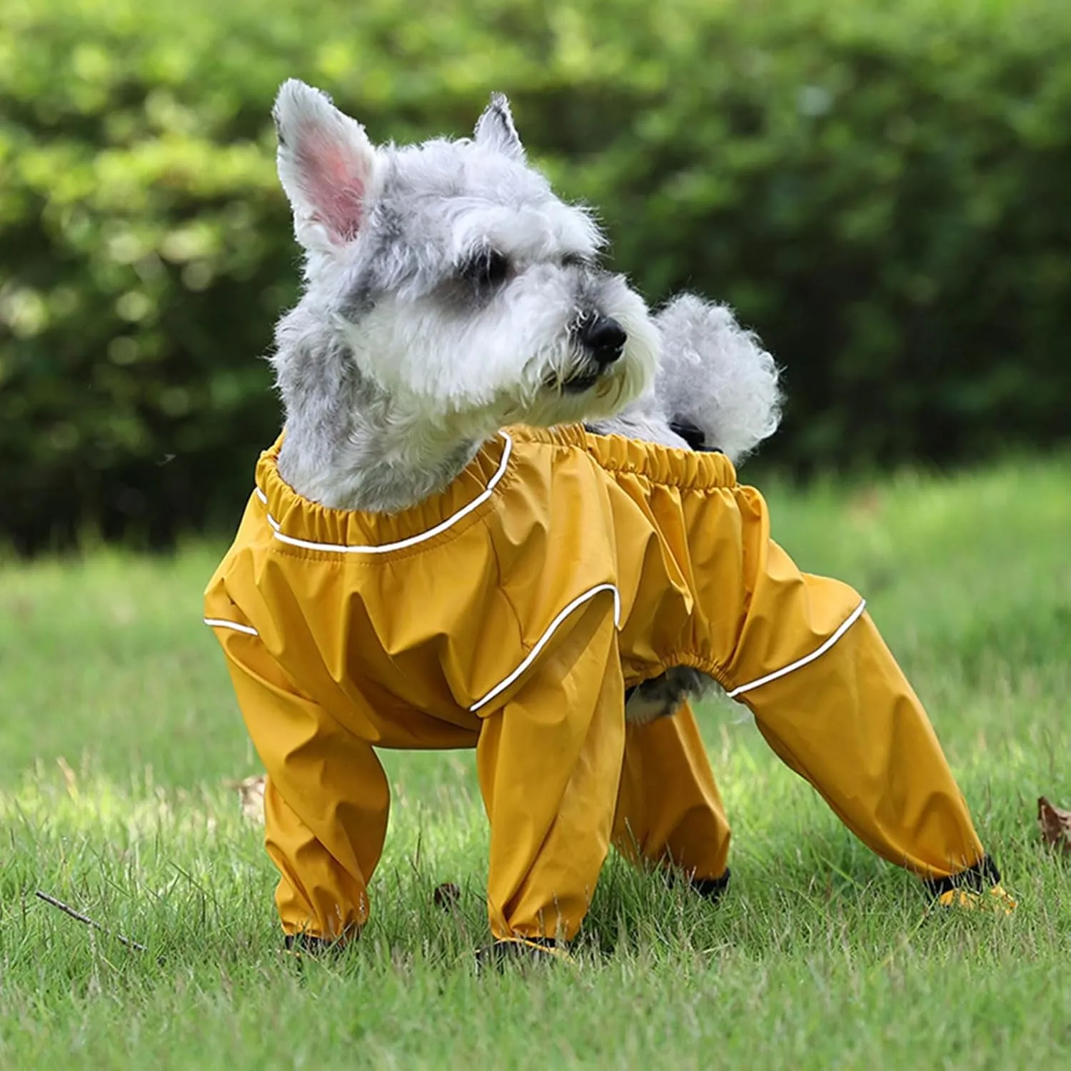 Dog Boot Leggings - Nonslip Dog Shoes & Paw Protector Rain Booties for Walking, Running, Hiking