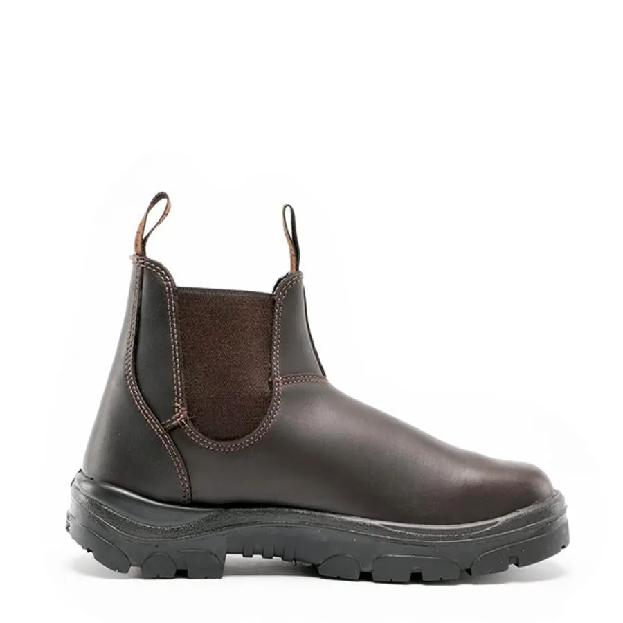 HOBART -TPU-WINTER BROWN