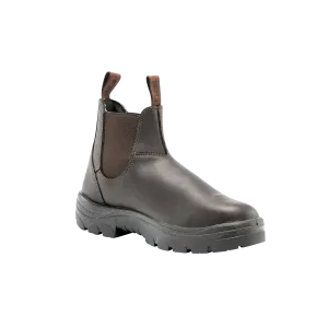HOBART -TPU-WINTER BROWN