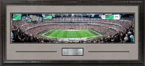 Las Vegas Raiders Panorama