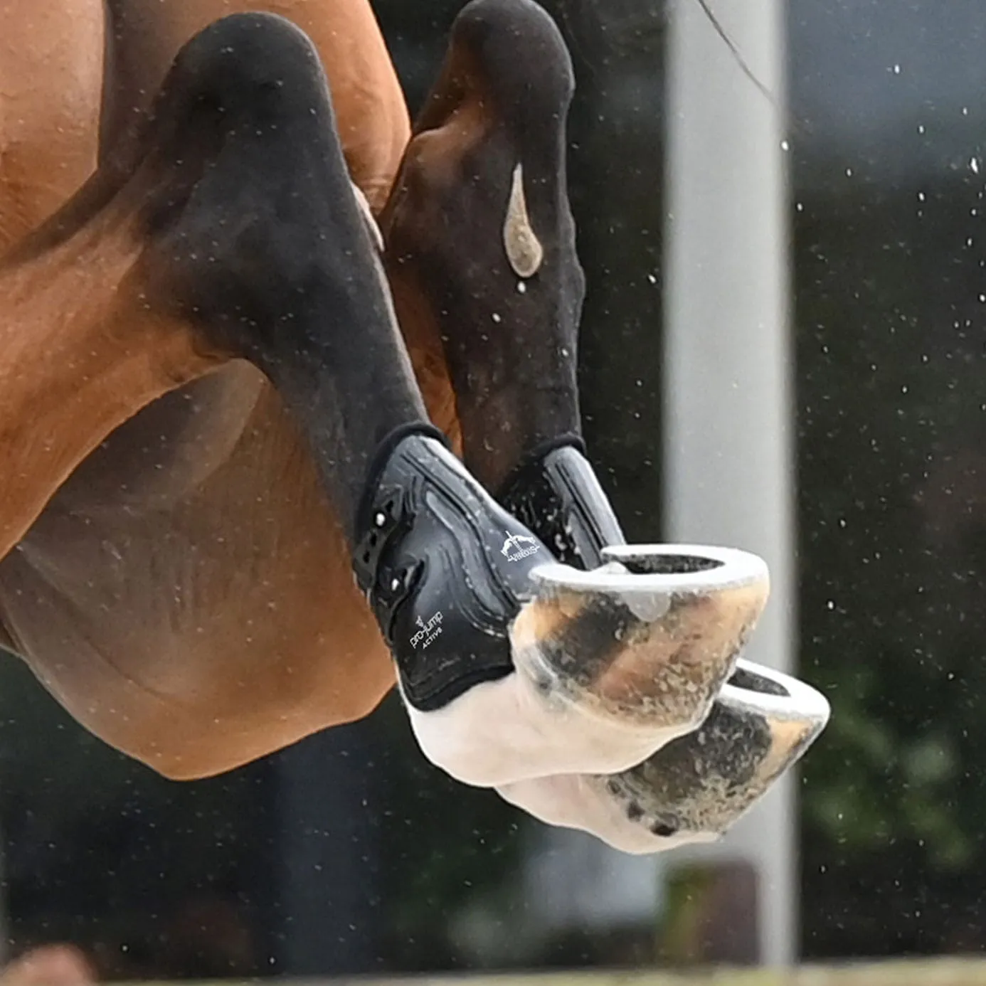 Veredus Pro Jump Active Fetlock Boots - Black